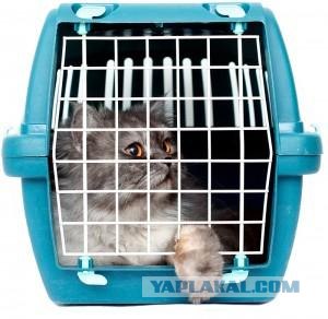 Южно-Американский дневник. Перу.