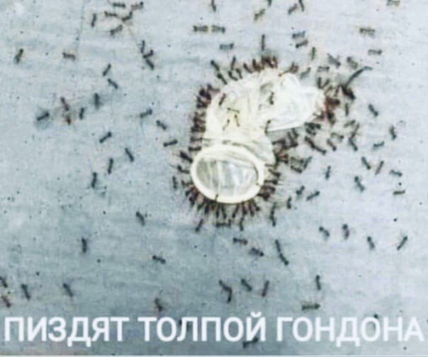 Немного картинок для настроения - 114