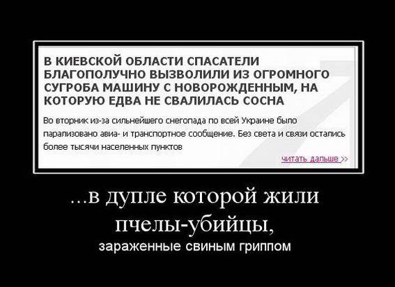 Мародёры