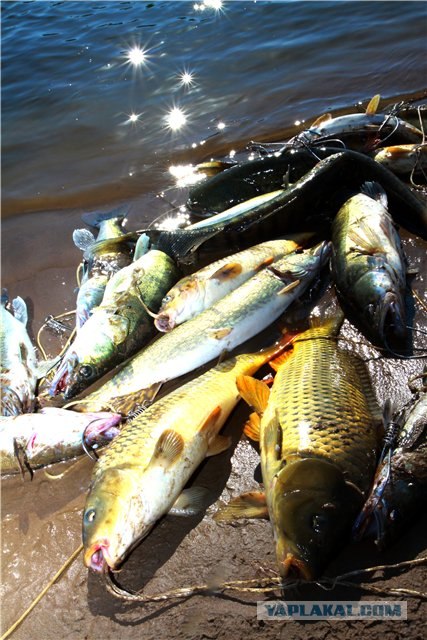 Рыбалка (Чёрный Яр)