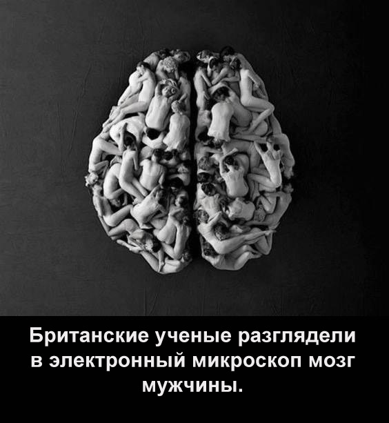 Немного мемчиков. Для взрослых. Часть 24