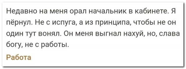 Забавные комментарии из социальных сетей (28.11.22)
