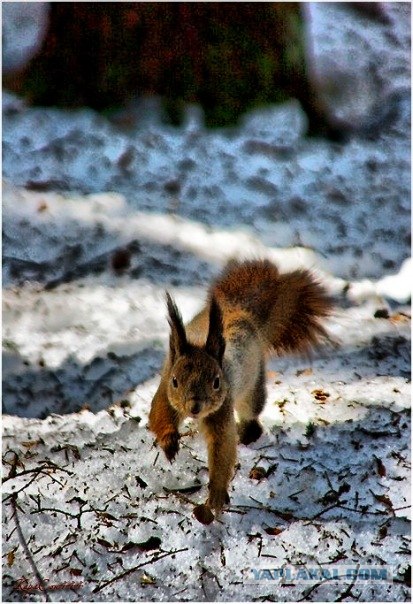 Космодром Плесецк