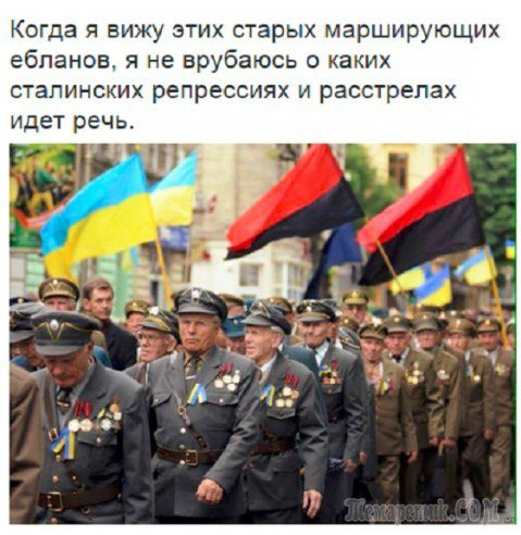 Денацификация Германии