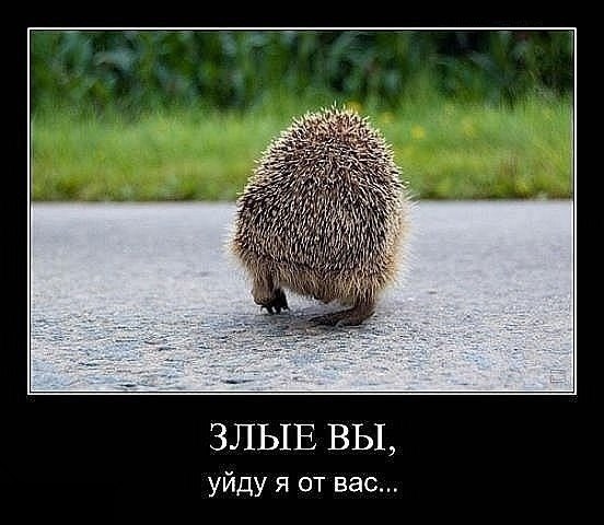 Жена запрещает...