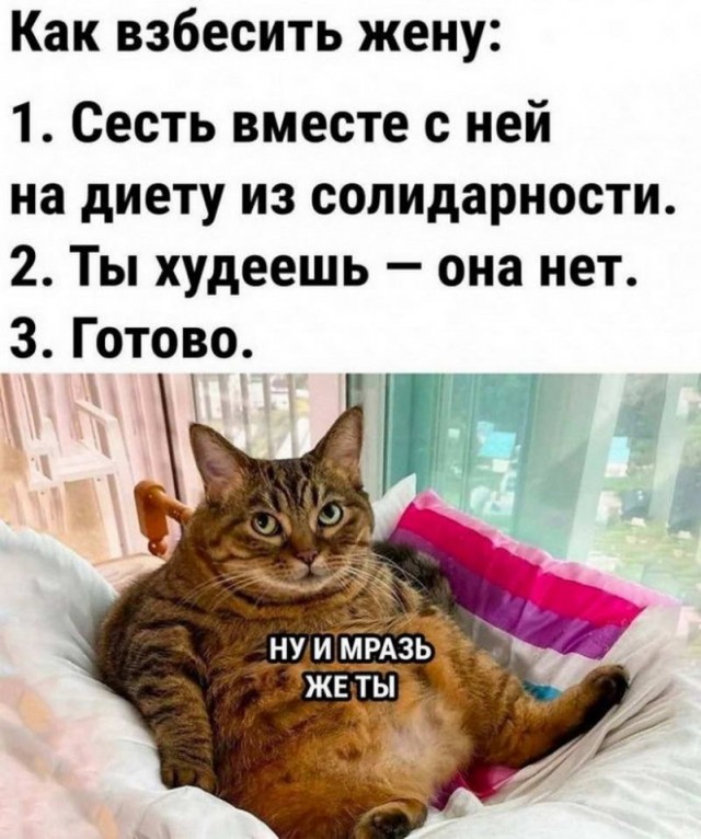 Картинки и мемы, всяко разно - 171