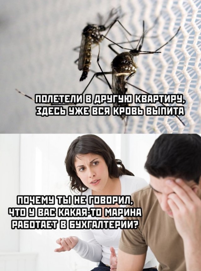 Картинки и мемы, всяко разно - 175