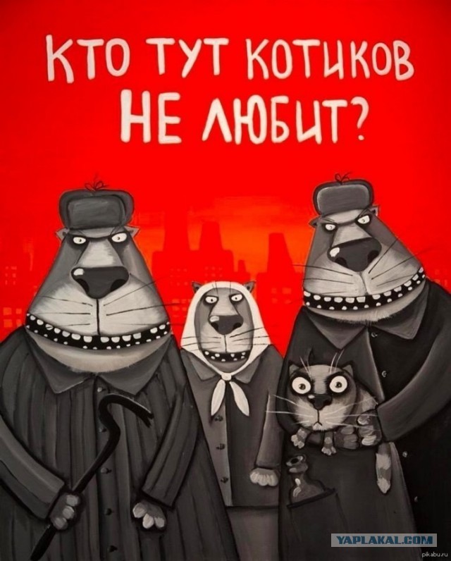 А как же я!? Малыш! Ведь я же лучше! Лучше собаки!