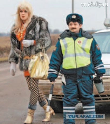жена честного гаишника