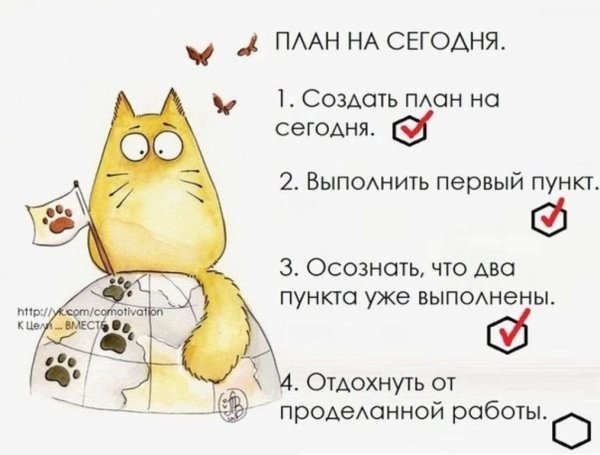 Планы на день: