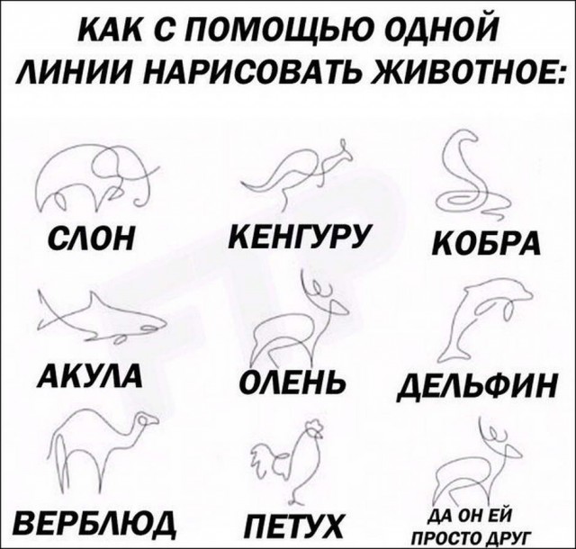 Обязательный тест ДНК: как и когда?