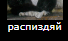 Вопрос к женскому полу