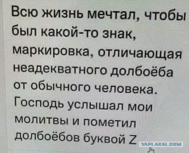 Екатеринбуржца, напавшего на мальчика в шапке с буквой Z, отправили в колонию