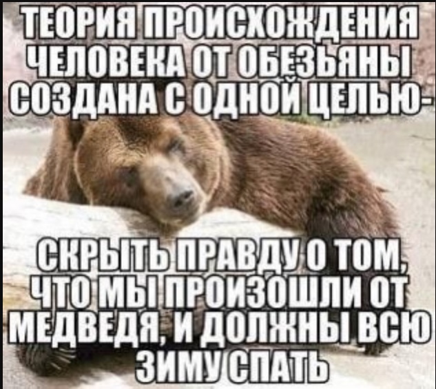 Медведь-мародёр выломал окно и залез в инспекторский домик
