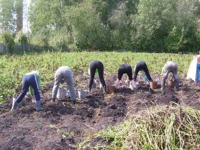 Школьница из России стала абсолютным победителем Открытой международной астрономической олимпиады⁠⁠