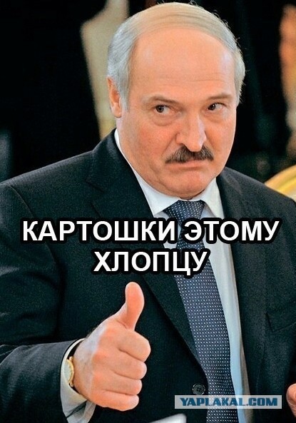 - Давайте я вам переведу