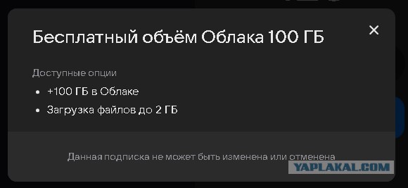 Навсегда, или дырявые карманы?
