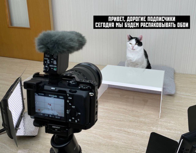 Всего понемногу. От 10.01.2025