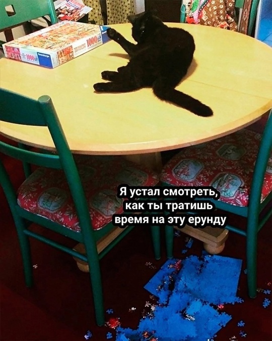 Так себе картинки 18.01.25
