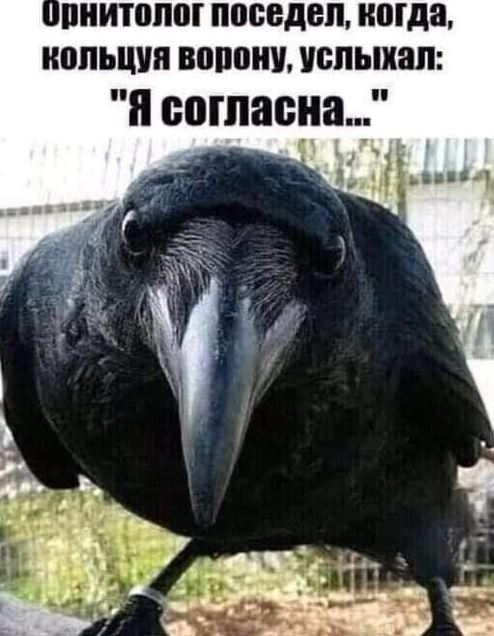 Картинки не для всех
