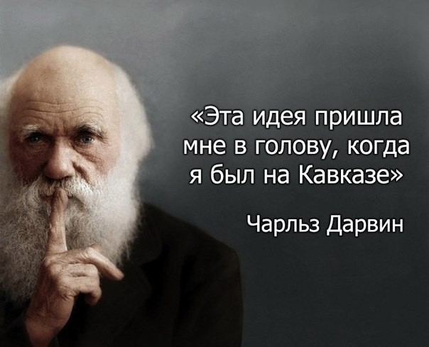 Замечательный сосед