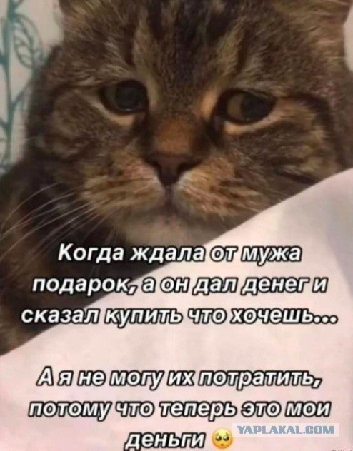 Сборник Баянов