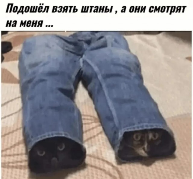 Веселые картинки в маленькую пятницу (12.03)