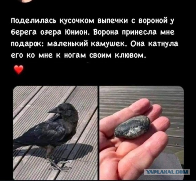 Завалялось тут случайно немного забавных картинок