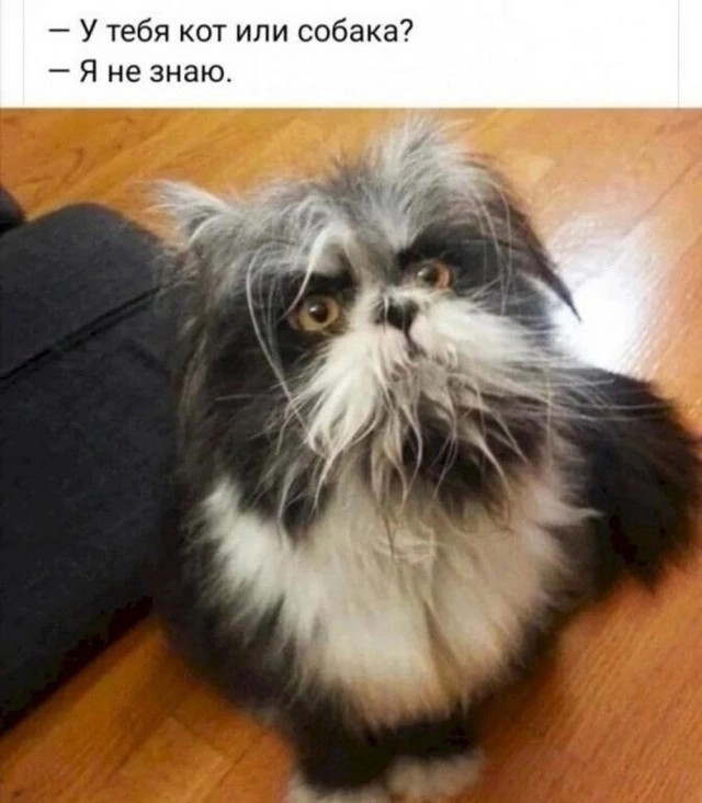 Юмор и порой философия в картинках с буквами за вторник