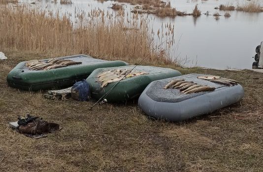 Рыбалка 2024