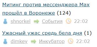 Митинг против мессенджера Max прошёл в Воронеже