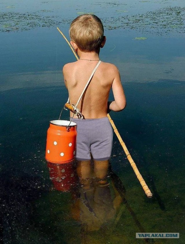 Веселые картинки _)