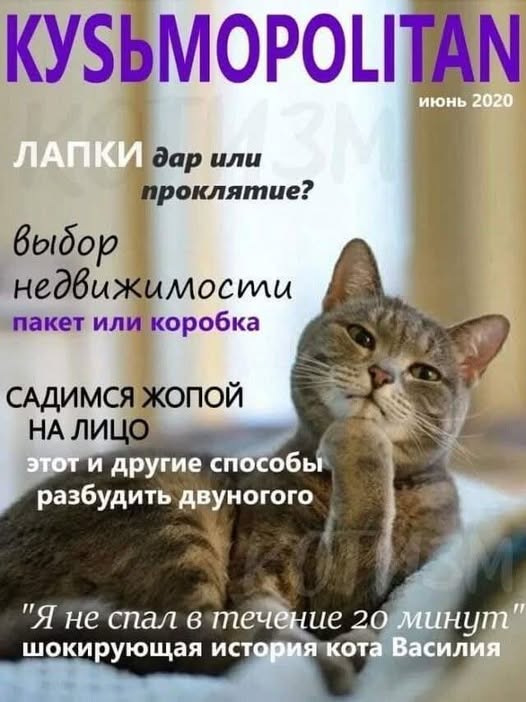 Пятничные бояны