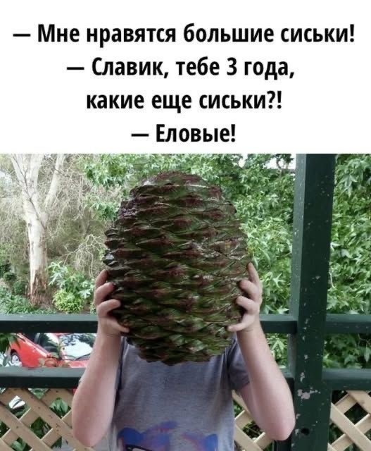 Среды картинки