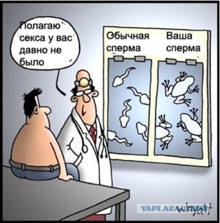 Как я ходил сдавать сперму
