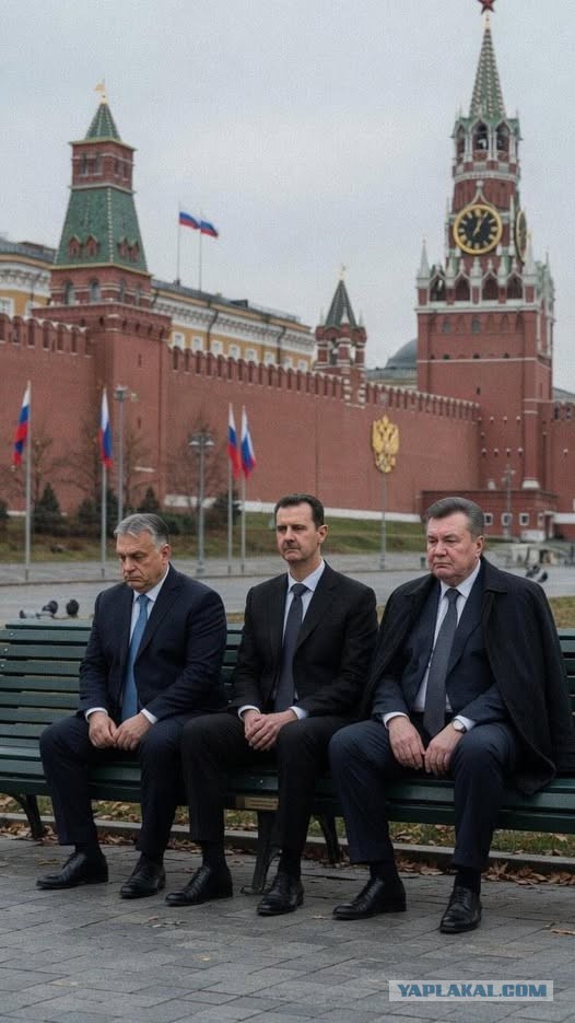 Орбан проиграл