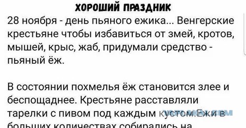 Драма в огороде⁠⁠