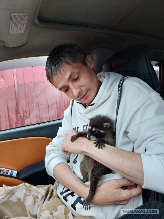 К себе или от себя.