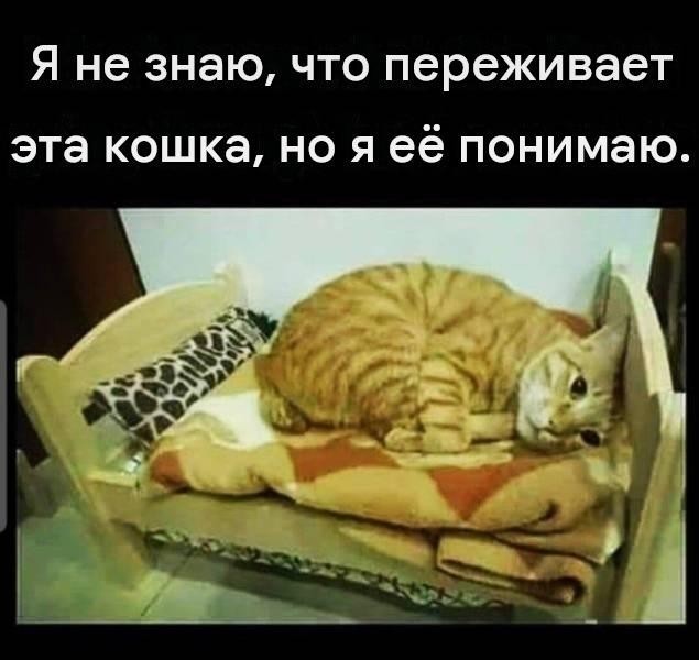 Веселые картинки в пятницу (21.08)