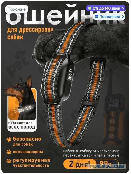 А денег им бедолагам не отправить?