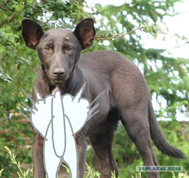 Пикет в самом центре Сочи!