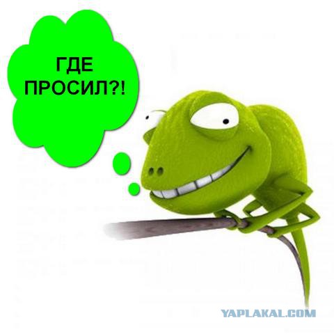 Фотографии с мобильного телефона