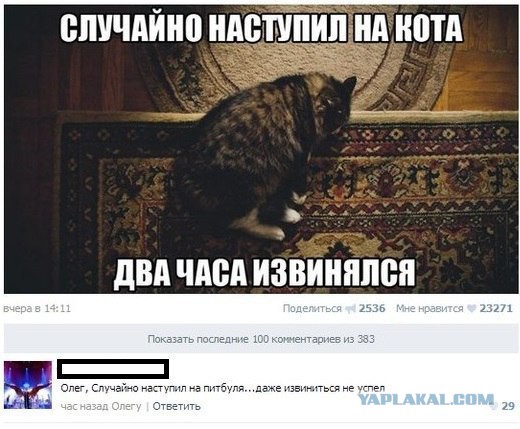 Приколы из социальных сетей №х/з