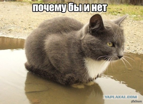 Я у мамы дурачёк...