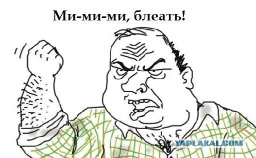 Осиротевший детеныш коалы
