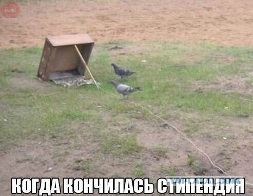 Смешные комментарии на понедельник