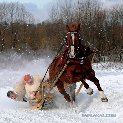 Картинки