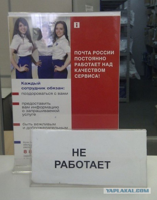 Маразмы месяца