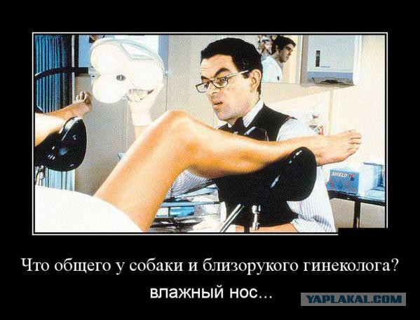 Весёлое из сети