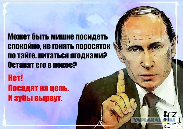 Картинки из этих ваших интернетов